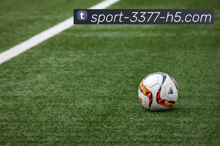 3377体育APP 高清赛事图